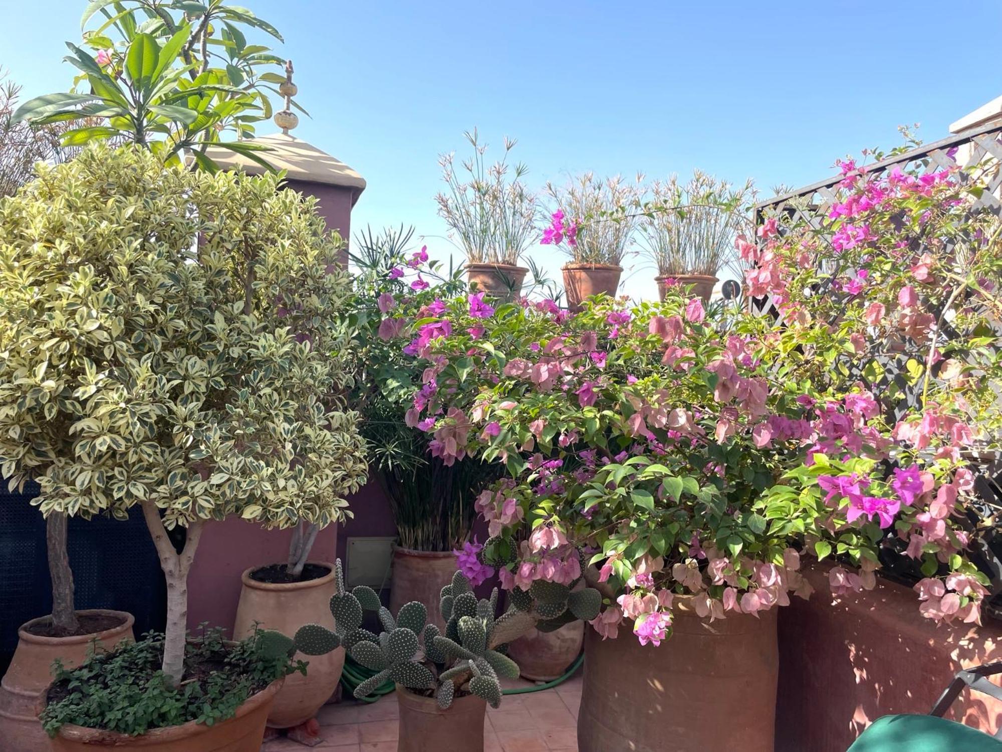 Riad Dar Al Assad Marrakesh Exterior photo